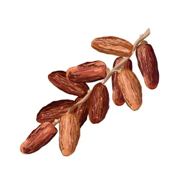 Organic Medjool Dates